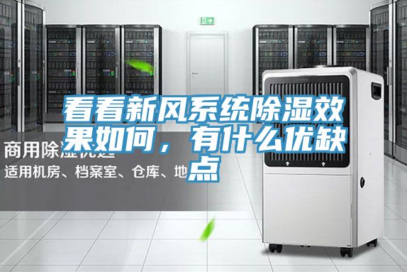 看看新风系统除湿效果如何，有什么优缺点