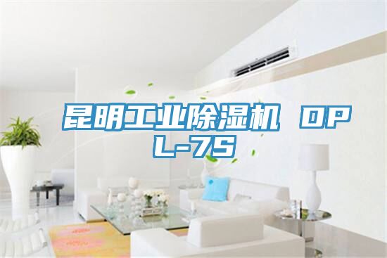 昆明工业小黄片直播视频 DPL-7S