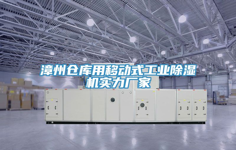 漳州仓库用移动式工业小黄片直播视频实力厂家