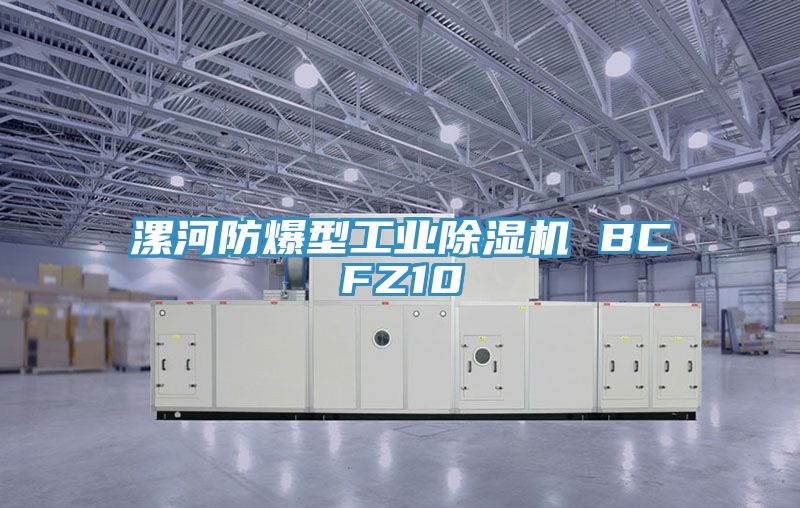 漯河防爆型工业小黄片直播视频 BCFZ10