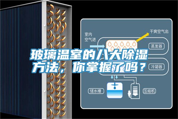玻璃温室的八大除湿方法，你掌握了吗？