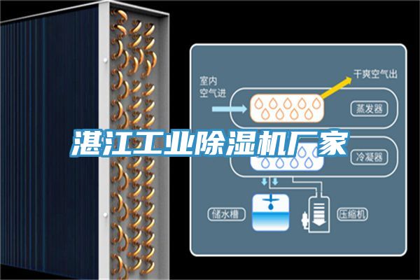 湛江工业小黄片直播视频厂家