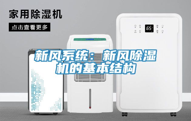 新风系统：新风小黄片直播视频的基本结构