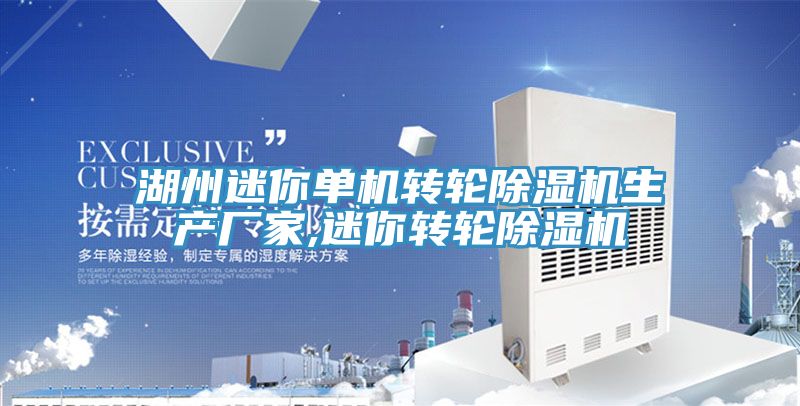 湖州迷你单机转轮小黄片直播视频生产厂家,迷你转轮小黄片直播视频