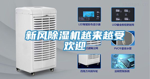 新风小黄片直播视频越来越受欢迎