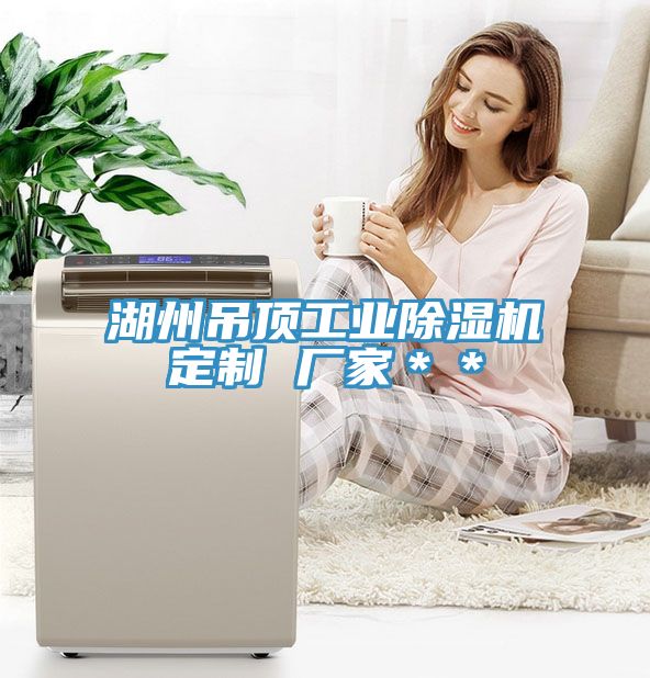 湖州吊顶工业小黄片直播视频定制 厂家＊＊