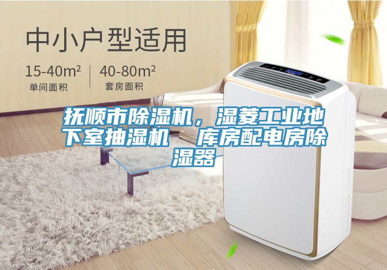 抚顺市小黄片直播视频，湿菱工业地下室抽湿机  库房配电房除湿器