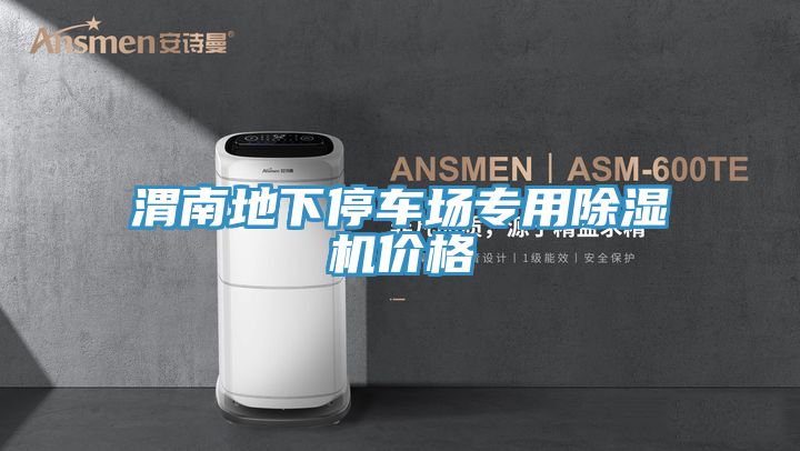 渭南地下停车场专用小黄片直播视频价格