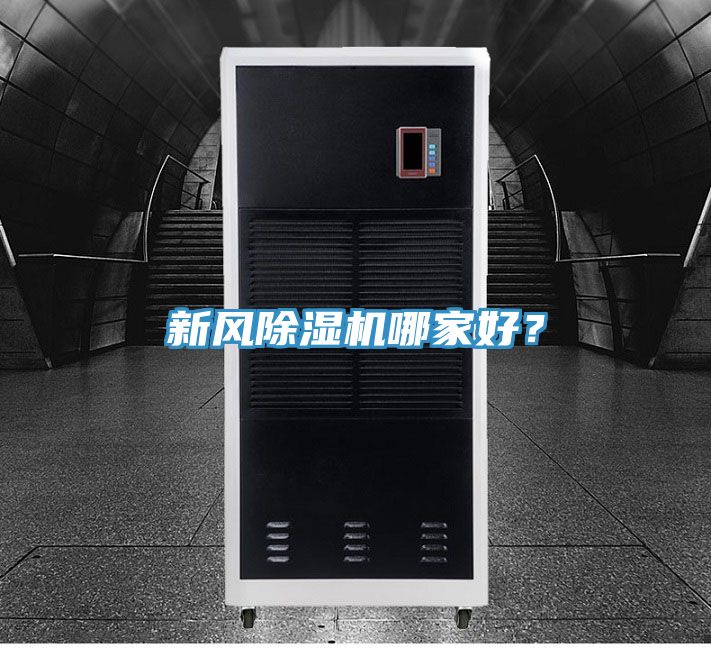 新风小黄片直播视频哪家好？