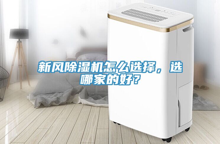 新风小黄片直播视频怎么选择，选哪家的好？