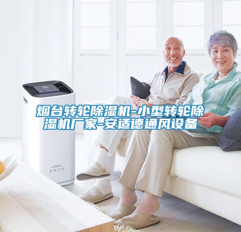 烟台转轮小黄片直播视频-小型转轮小黄片直播视频厂家-安适德通风设备