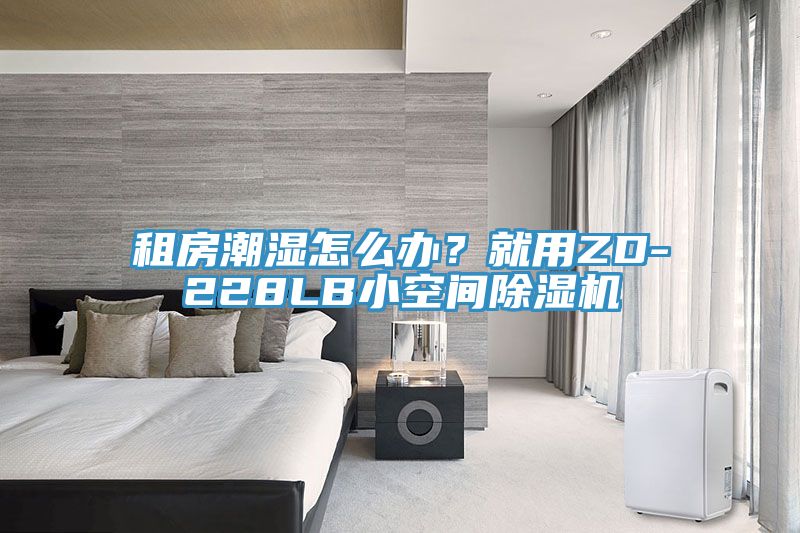 租房潮湿怎么办？就用ZD-228LB小空间小黄片直播视频