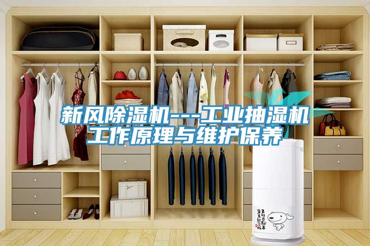 新风小黄片直播视频---工业抽湿机工作原理与维护保养