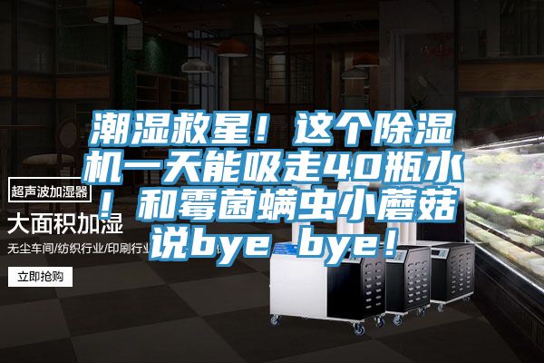 潮湿救星！这个小黄片直播视频一天能吸走40瓶水！和霉菌螨虫小蘑菇说bye bye！