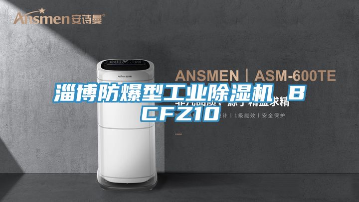 淄博防爆型工业小黄片直播视频 BCFZ10