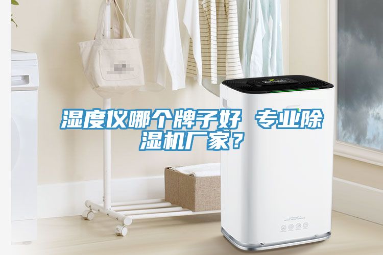 湿度仪哪个牌子好 专业小黄片直播视频厂家？