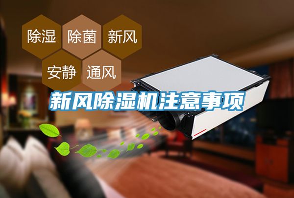 新风小黄片直播视频注意事项