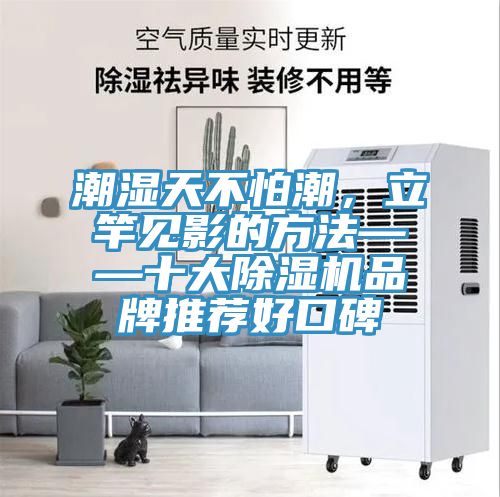 潮湿天不怕潮，立竿见影的方法——十大小黄片直播视频品牌推荐好口碑