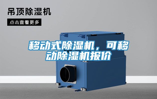 移动式小黄片直播视频，可移动小黄片直播视频报价