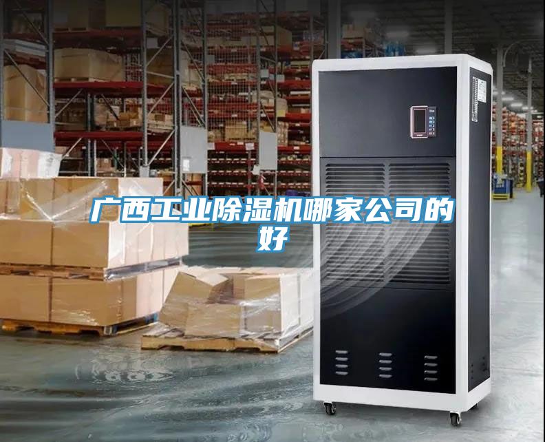 广西工业小黄片直播视频哪家公司的好