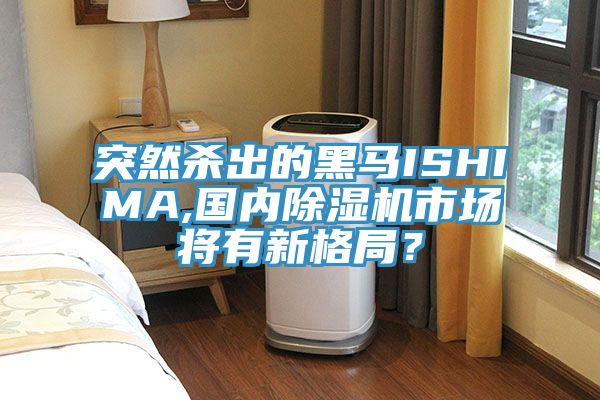 突然杀出的黑马ISHIMA,国内小黄片直播视频市场将有新格局？