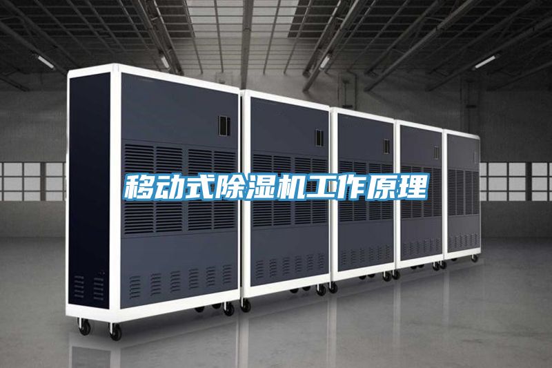 移动式小黄片直播视频工作原理