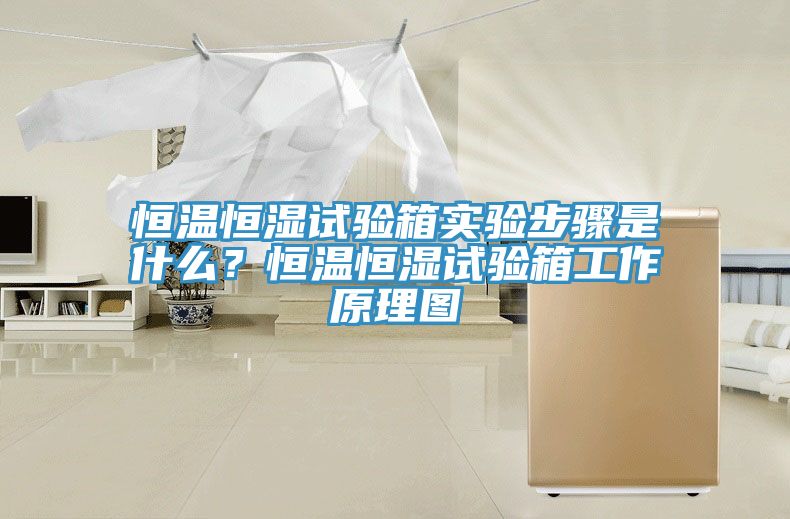 恒温恒湿试验箱实验步骤是什么？恒温恒湿试验箱工作原理图