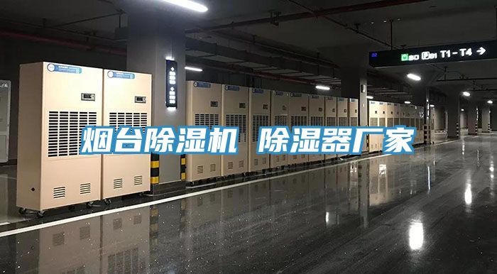 烟台小黄片直播视频 除湿器厂家