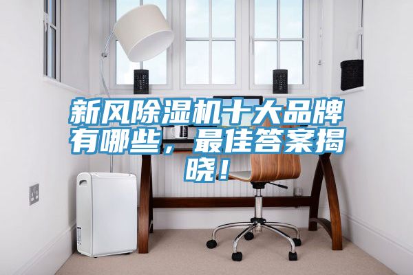 新风小黄片直播视频十大品牌有哪些，最佳答案揭晓！