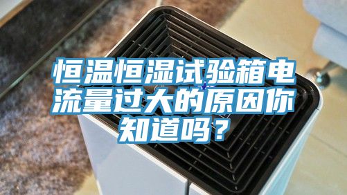 恒温恒湿试验箱电流量过大的原因你知道吗？