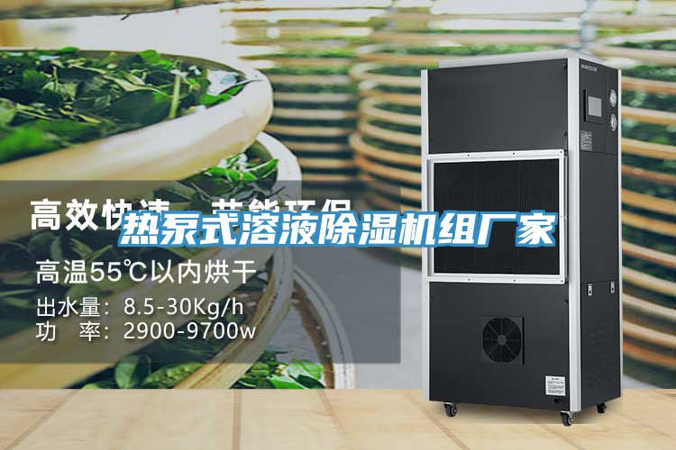 热泵式溶液小黄片直播视频组厂家