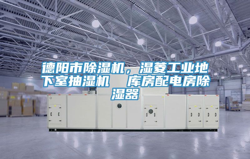 德阳市小黄片直播视频，湿菱工业地下室抽湿机  库房配电房除湿器