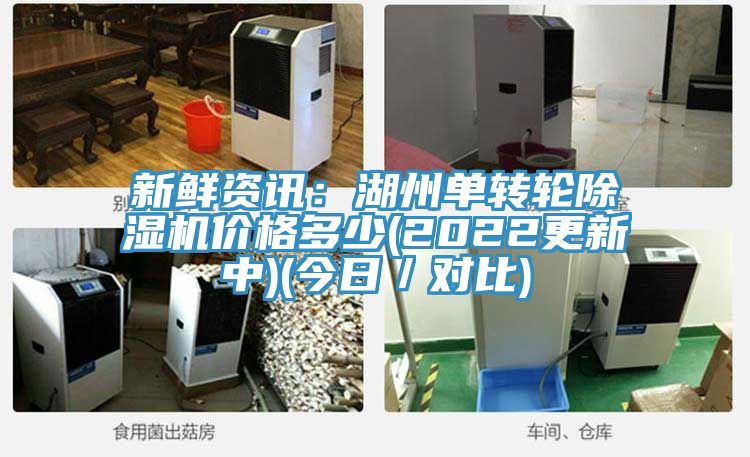 新鲜资讯：湖州单转轮小黄片直播视频价格多少(2022更新中)(今日／对比)