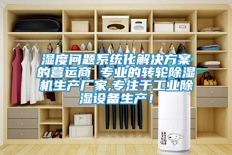 湿度问题系统化解决方案的营运商 专业的转轮小黄片直播视频生产厂家,专注于工业除湿设备生产！