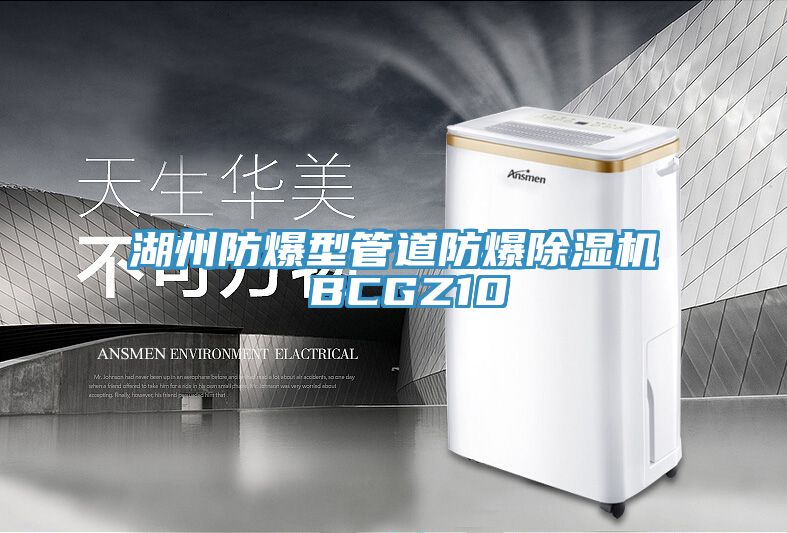 湖州防爆型管道防爆小黄片直播视频 BCGZ10