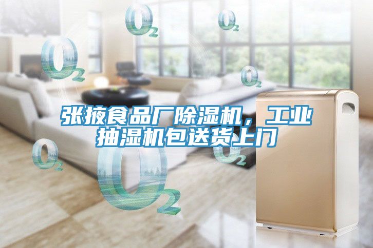 张掖食品厂小黄片直播视频，工业抽湿机包送货上门