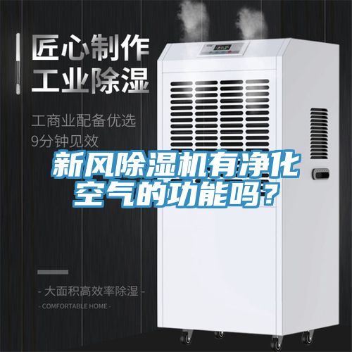 新风小黄片直播视频有净化空气的功能吗？