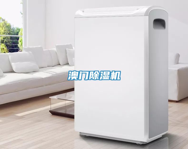 澳门小黄片直播视频