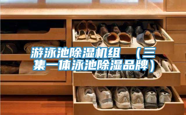 游泳池小黄片直播视频组 （三集一体泳池除湿品牌）