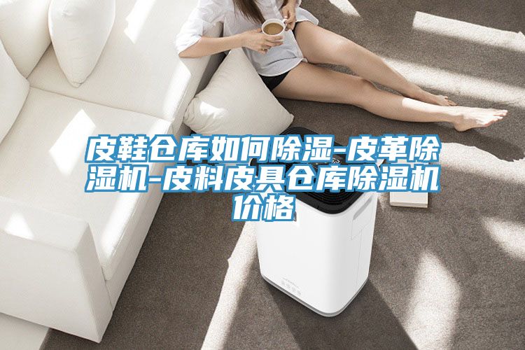 皮鞋仓库如何除湿-皮革小黄片直播视频-皮料皮具仓库小黄片直播视频价格