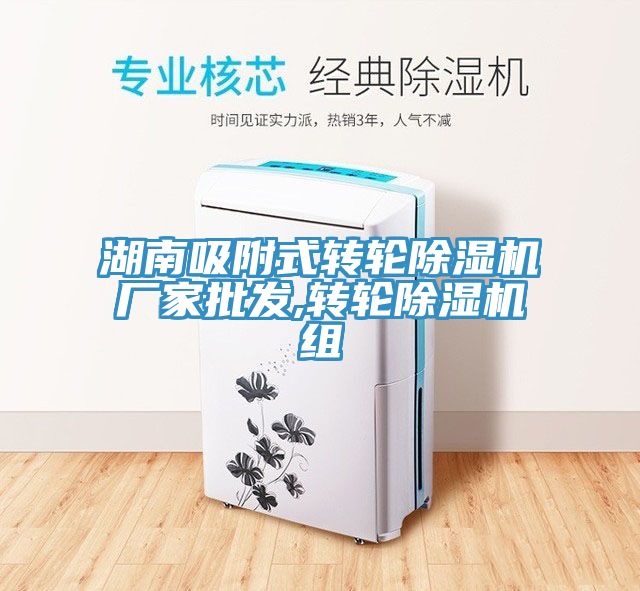 湖南吸附式转轮小黄片直播视频厂家批发,转轮小黄片直播视频组