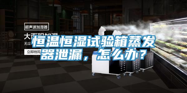 恒温恒湿试验箱蒸发器泄漏，怎么办？
