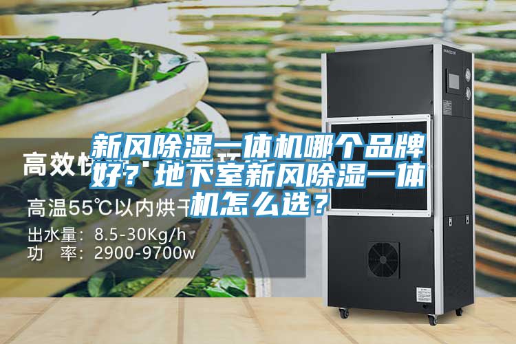 新风除湿一体机哪个品牌好？地下室新风除湿一体机怎么选？