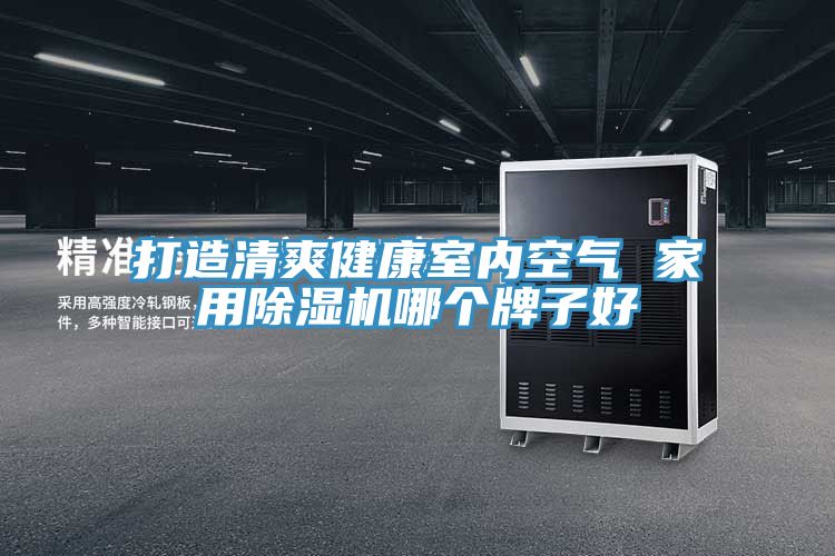 打造清爽健康室内空气 家用小黄片直播视频哪个牌子好