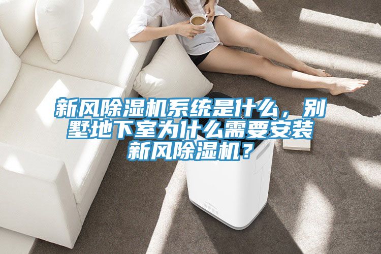新风小黄片直播视频系统是什么，别墅地下室为什么需要安装新风小黄片直播视频？
