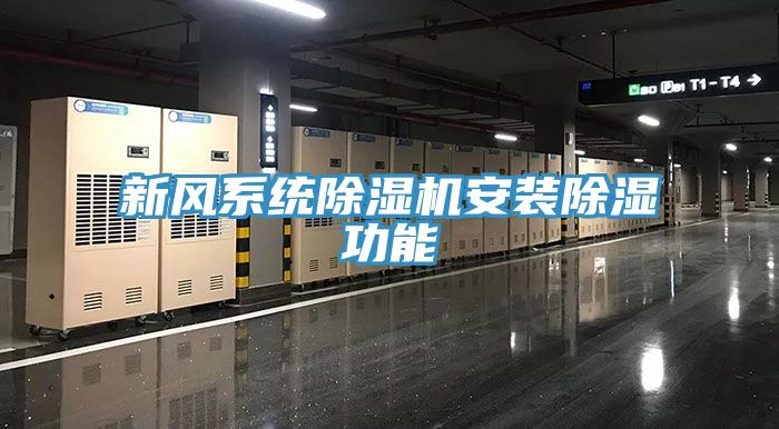新风系统小黄片直播视频安装除湿功能