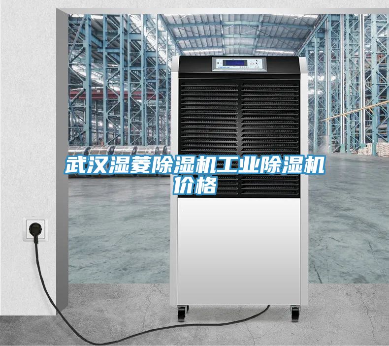武汉湿菱小黄片直播视频工业小黄片直播视频价格