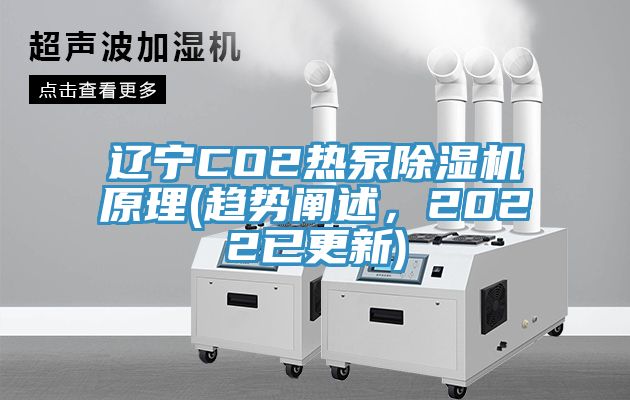 辽宁CO2热泵小黄片直播视频原理(趋势阐述，2022已更新)