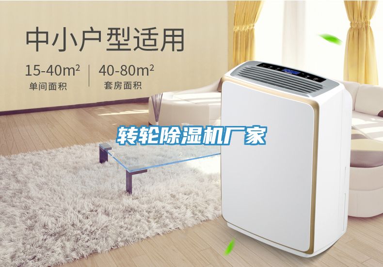 转轮小黄片直播视频厂家