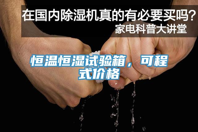 恒温恒湿试验箱，可程式价格